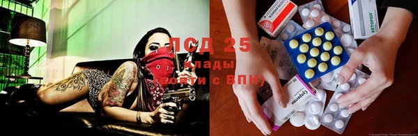 apvp Алексеевка