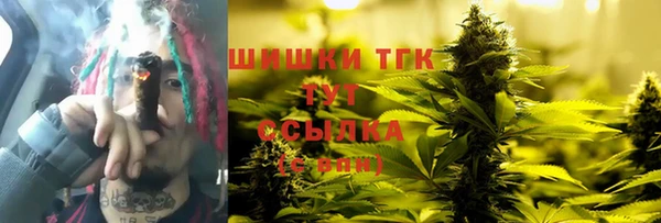 МДПВ Вяземский
