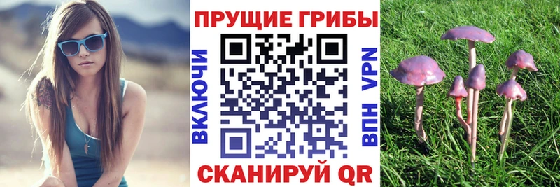 Галлюциногенные грибы прущие грибы  Архангельск 