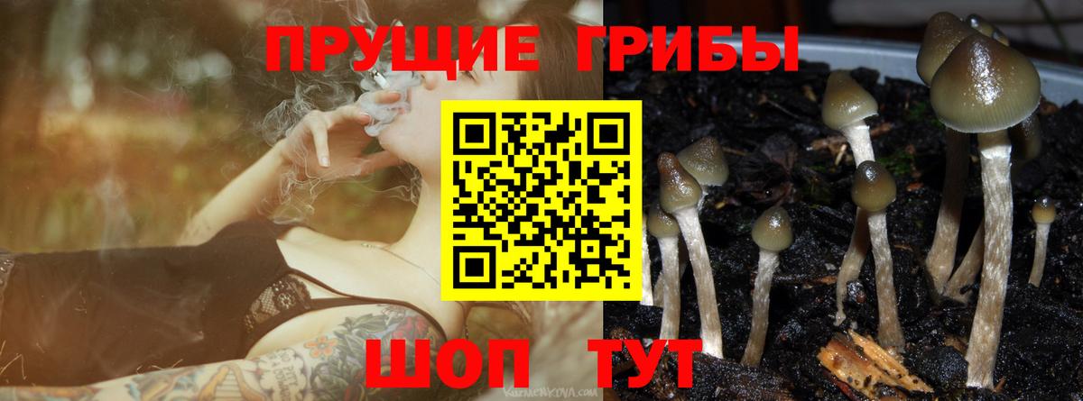 Галлюциногенные грибы Magic Shrooms  Вход с VPN  Архангельск 