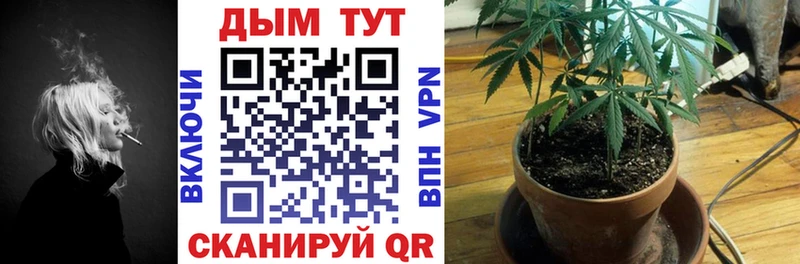 цена наркотик  Архангельск  Бошки Шишки White Widow 